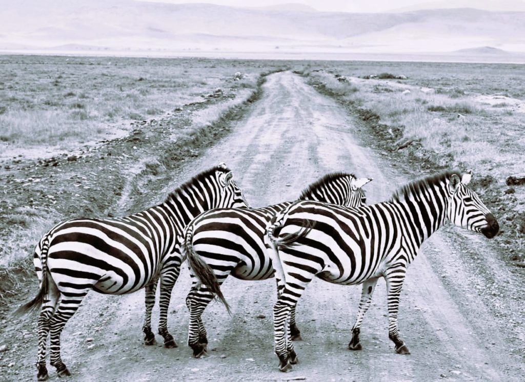 whatsapp image 2026 02 14 at 20.03.33